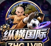 纵横国际